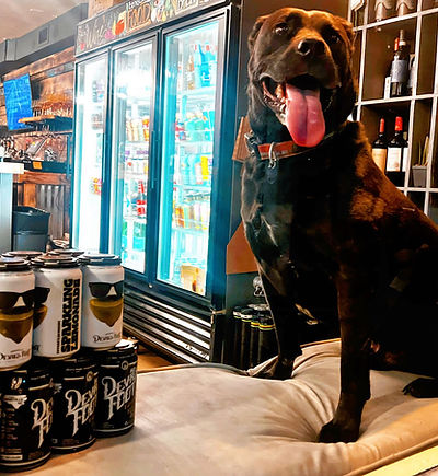 Littlefoot, Jharixa's dog, enjoying the bar.