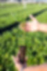 IGN-6036.jpg