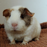 DSCN6627.JPG
