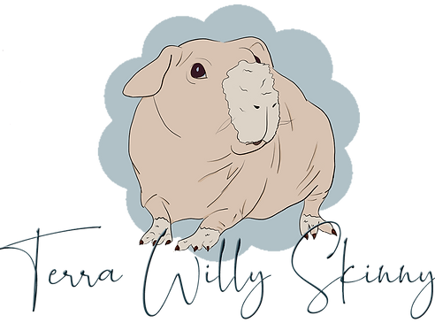 logo.png