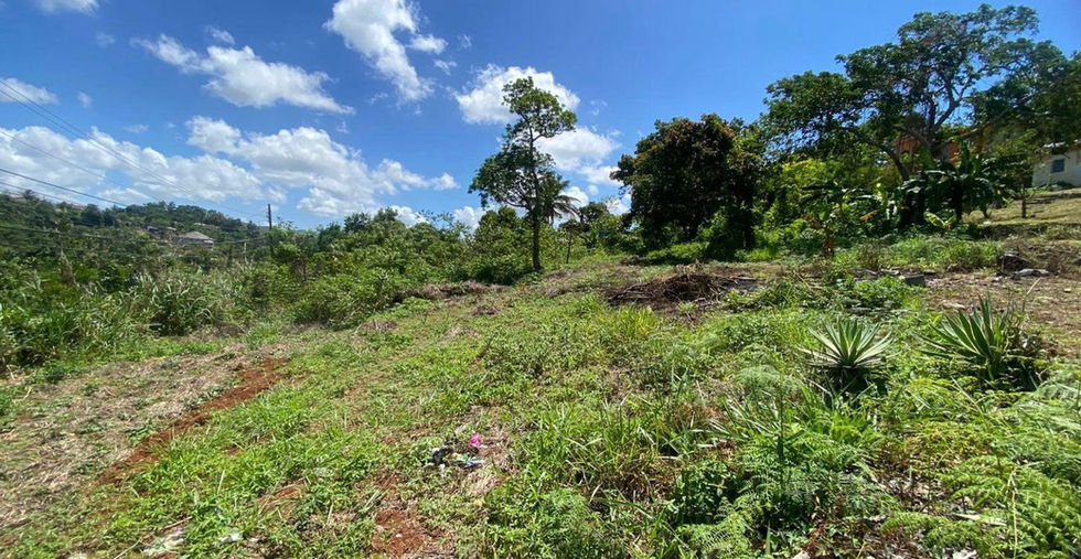 Land for Sale | RealtyByShan