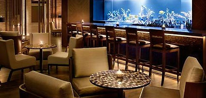 madrid social bar lounge lujo hotel negocios cocktails steak lujo centro