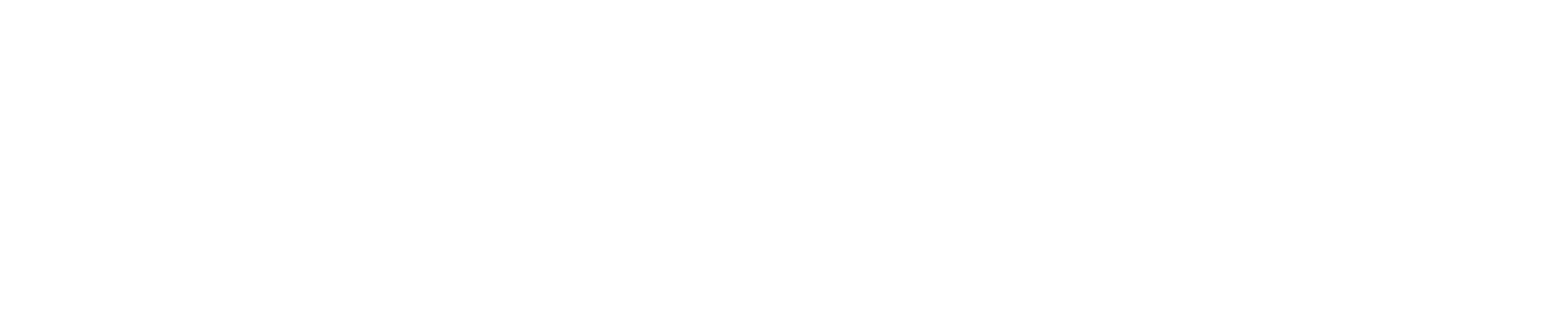 White Logo_edited_edited.png