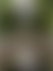 写真ワークショップを開催します！