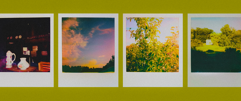 Four Polaroid photos on a green surface: a teapot on a shelf, sunset sky, leafy tree, and sunlit landscape, nostalgic mood