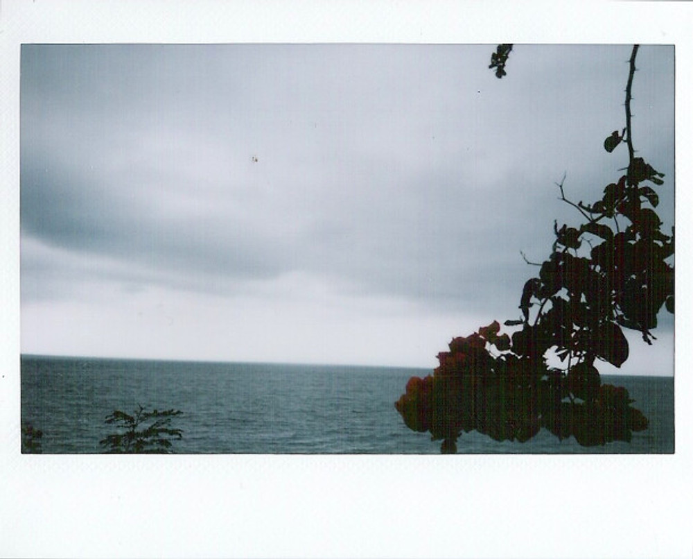 polaroids 3