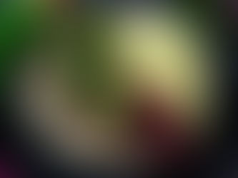 Köttbullar/ Schwedischer Klassiker