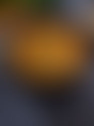 Tomaten Muschelnudelsuppe mit Hackbällchen