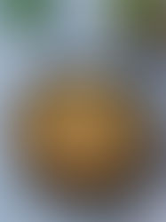 Schupfnudel Hähnchenpfanne mit Sauerkraut