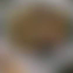 Gefüllte Datteln mit Frischkäse und Honig