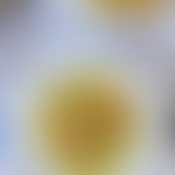 Tag 11: Wirsingtopf nach Omas Rezept