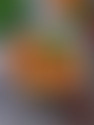 Paprika Gyros Topf mit mini Knödel