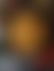 #17 Wiener Reispfanne