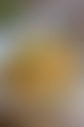 Spitzkohl Hackfleisch Pfanne