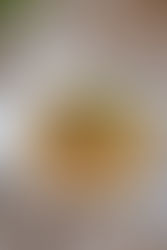 Asia Hackpfanne mit Spitzkohl, Paprika und Glasnudeln