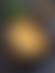 Kartoffel Hackfleisch Auflauf