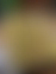 Bunte Gemüse Pasta mit Hackbällchen aus dem Ofen