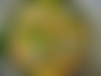 Karottensuppe mit Hackbällchen