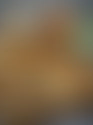 Schneller Grill Fladen!