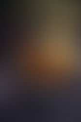 Rouladen Schichtbraten