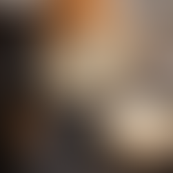 Dinkel Toastbrot selber backen – fluffig, einfach & richtig schön geformt!