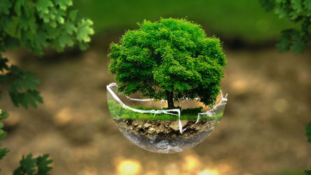 Indian startups Leading the way in Eco-Friendly Innovation 