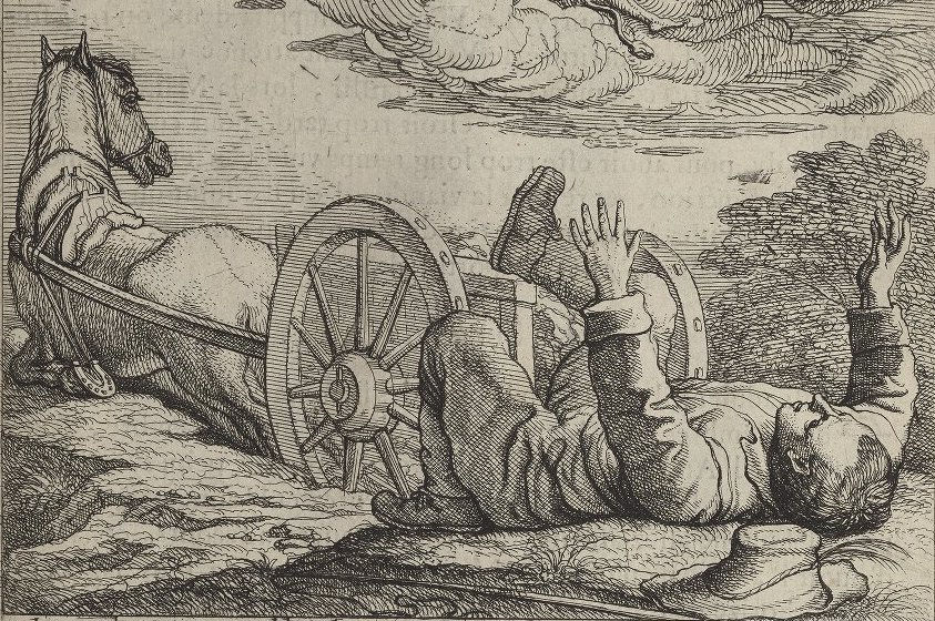 A Brisk Trot Through the Story of Horses and Books