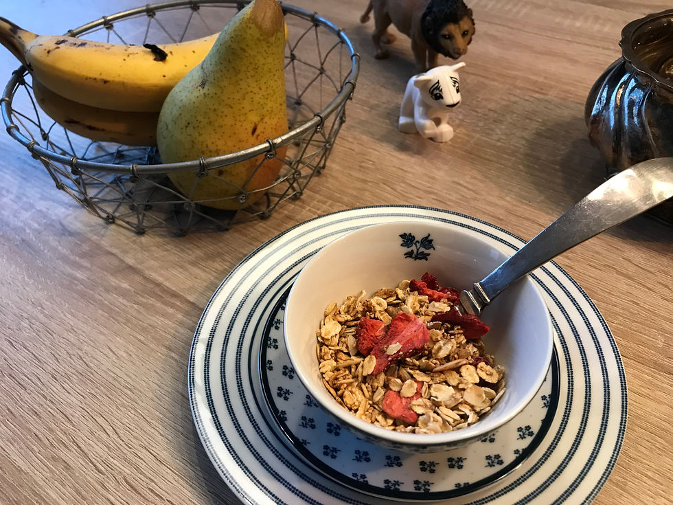 GF Granola