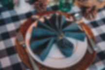 Gedeck blau kariert libby-penner-5cdUSeJQAr8-unsplash.jpg