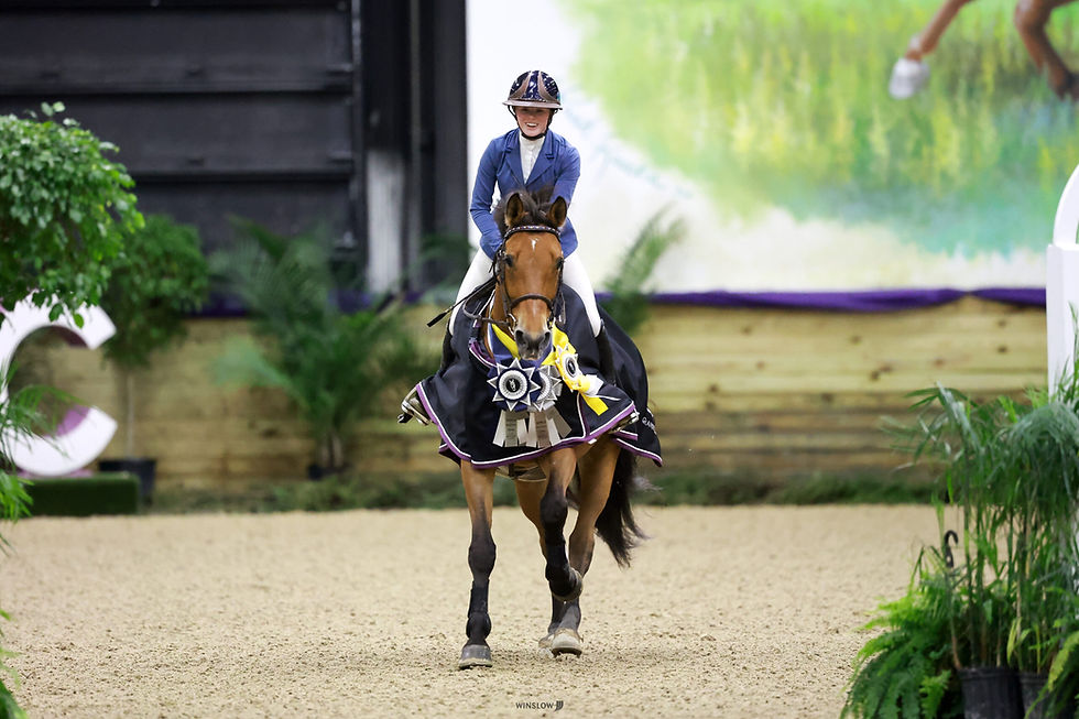Hunter jumper horse and rider competing at a Michigan horse show.