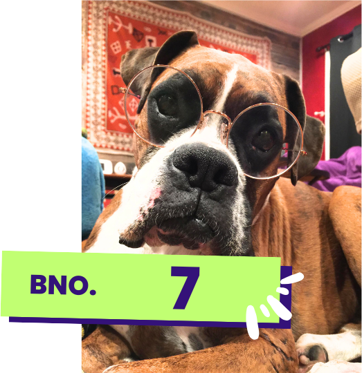 バックナンバー 7号【~犬の概念と人間の概念~】