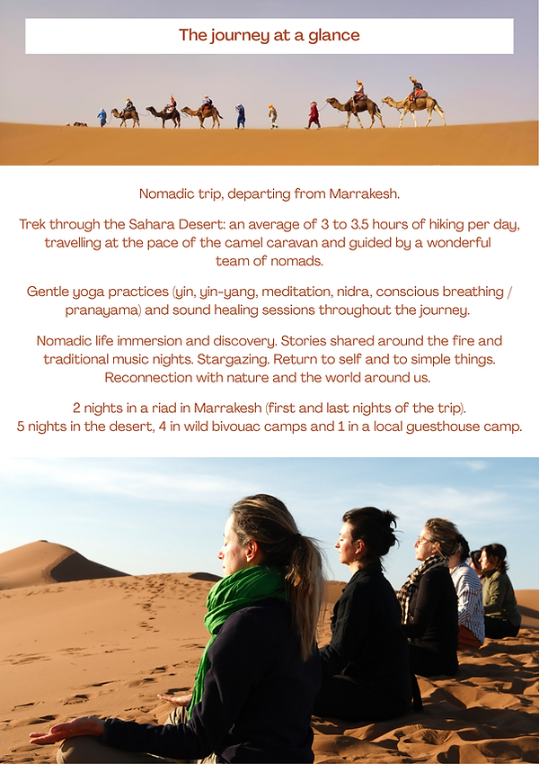 Whispers of the Desert (Feb 2027) (brochure).png
