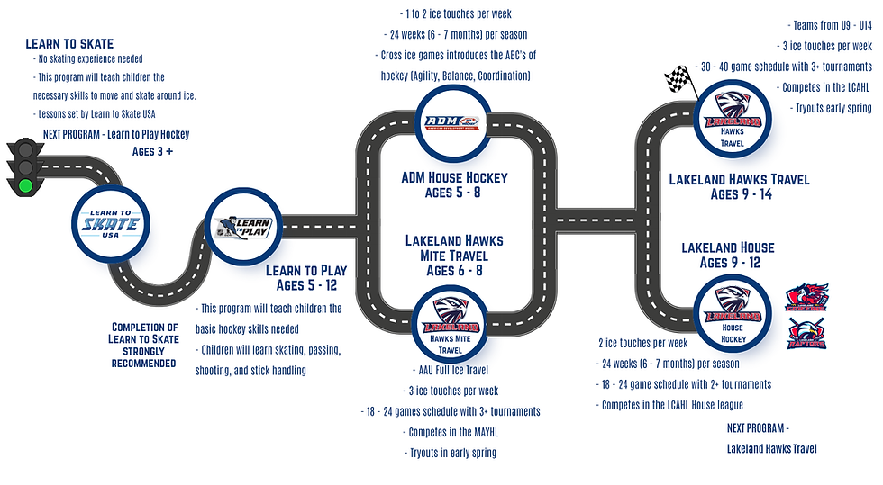 Blue Modern Vision to Execution Roadmap Presentation (3).png