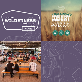 Raise a Glass for Conservation: Desert Foothills Land Trust Partners with Arizona Wilderness Brewing