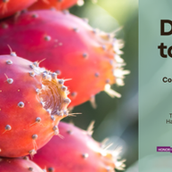 Desert to Dish: A Cooking Demonstration Rooted in the Sonoran Landscape