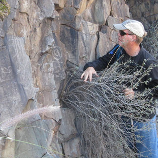 Bonding With the Desert