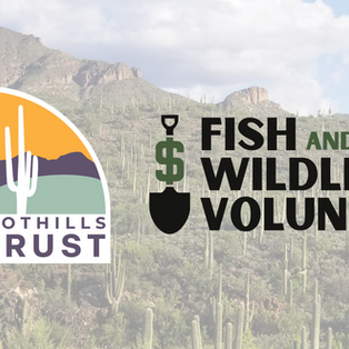 Celebrating our Partnership with Fish and Wildlife Volunteers