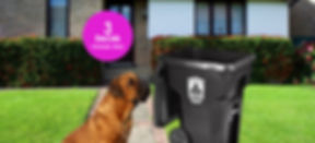 (3) Three Decals Package Deal