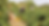 Photo website1.png