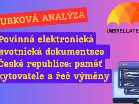 Povinná elektronická zdravotnická dokumentace v České republice: paměť poskytovatele a řeč výměny