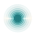 tznzt_edited.png