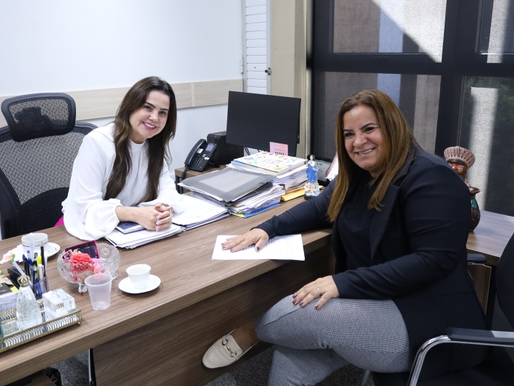 O encontro teve como objetivo principal apresentar demandas prioritárias para Brasilândia e pleitear recursos por meio de emendas parlamentares que possam beneficiar diretamente a população.