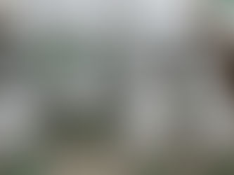 Governo de Mato Grosso do Sul fornece 84 mil doses da vacina contra Influenza para os 79 municípios