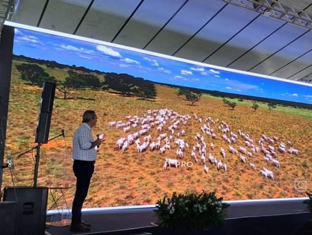 Somente de novilhos precoces, o salto foi de 112% desde 2018, quando foram abatidos 722.217 bovinos para 1,534 milhão de animais no ano passado.