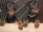 Afra & Anka.JPG