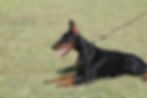 Eika IMG_2258.JPG