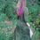 Thumbnail: Alora Dress