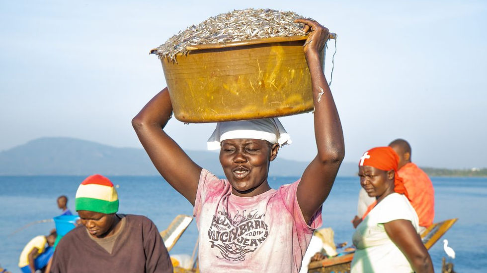 A woman on Rusinga Island joyfully balances a basin brimming with freshly caught Lake Victoria sardines on her head.