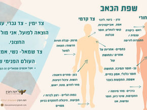 משמעות והקשרים בין מחלות לתפקודי איברים