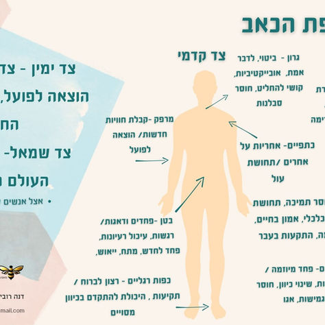 משמעות והקשרים בין מחלות לתפקודי איברים